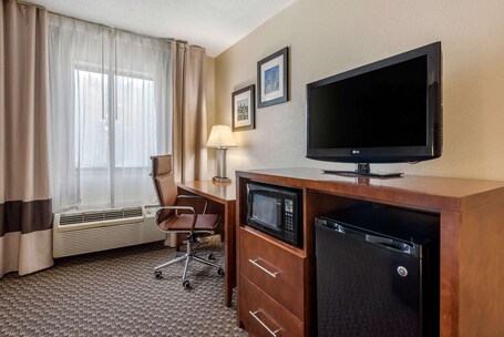 Comfort Inn South - Image 18