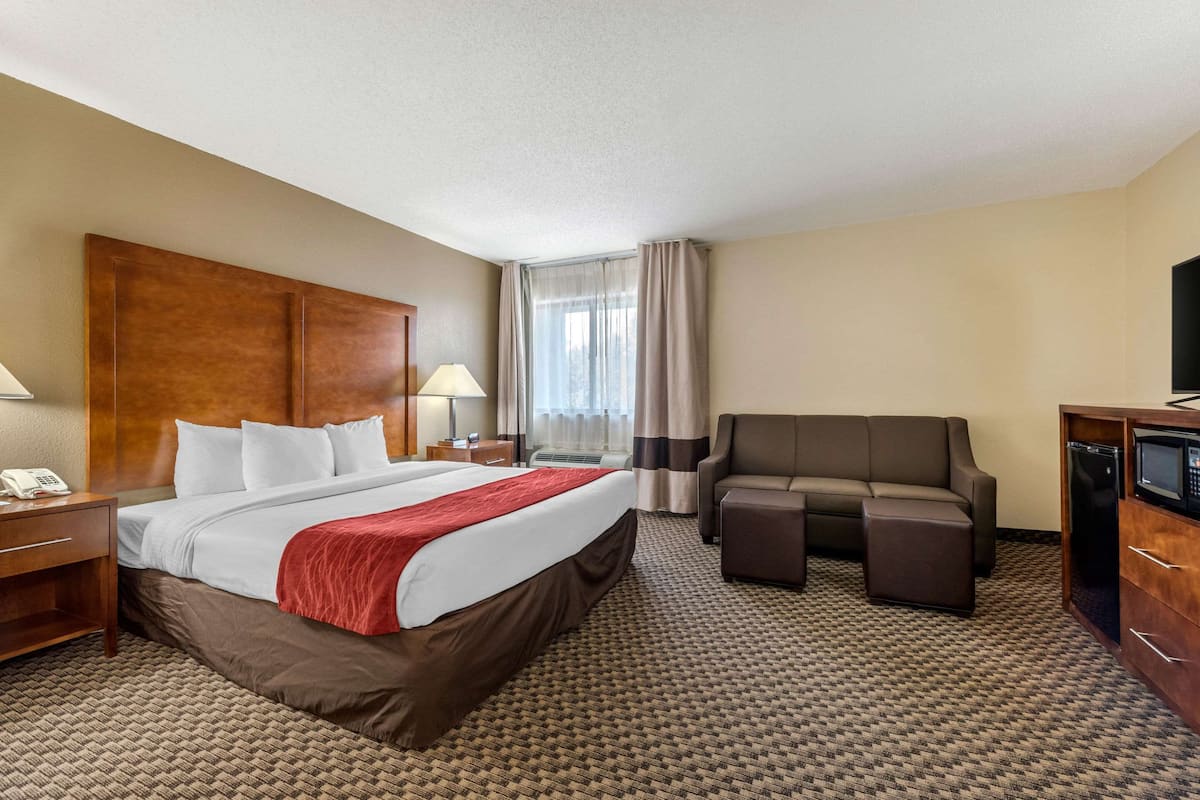 A hotel room with a large bed, a sofa, a TV, and a minibar.