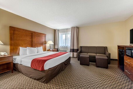 Comfort Inn South - Image 26