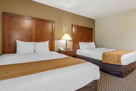 Comfort Inn South - Image 9