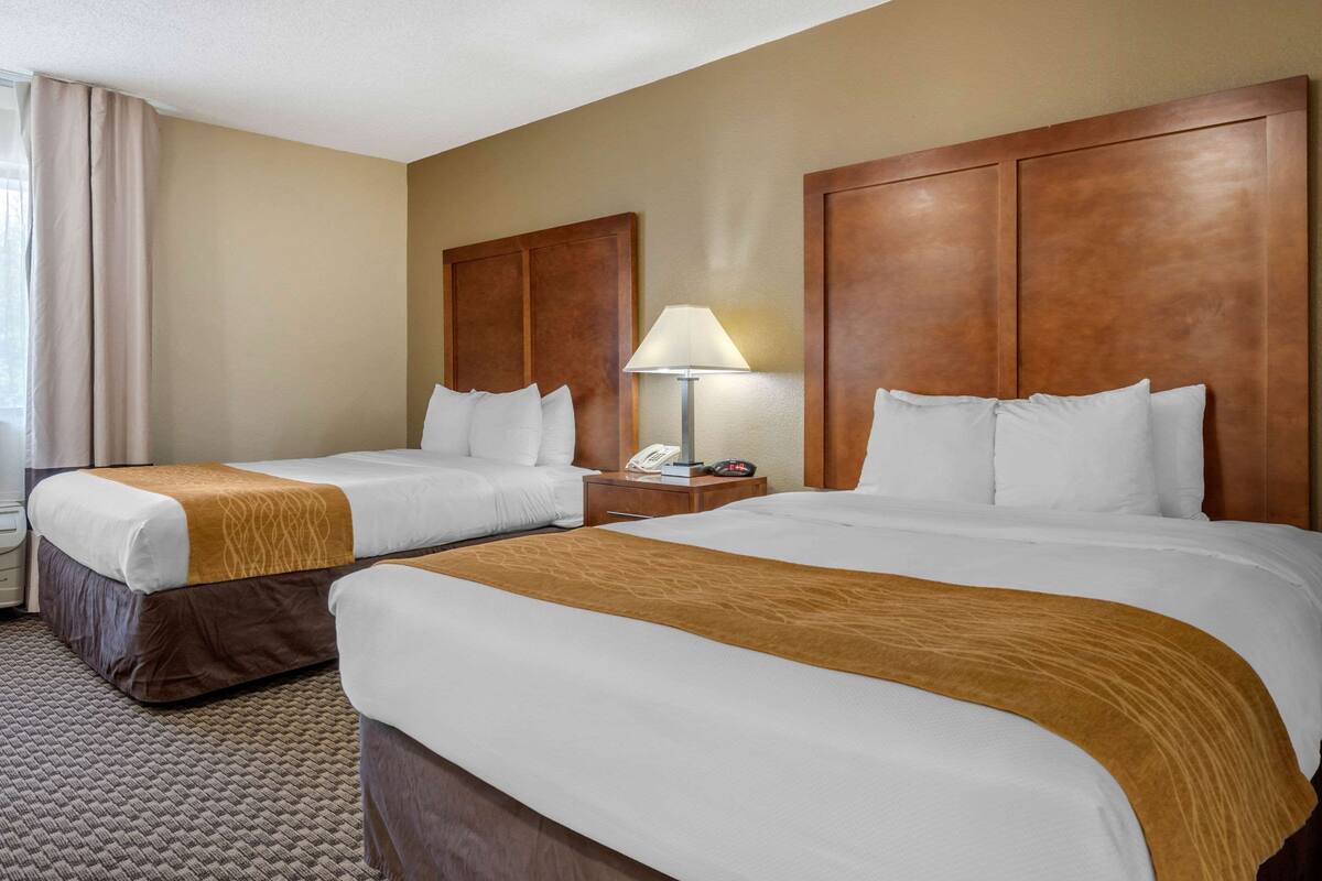 Premium bedding, down duvets, pillow-top beds, desk
