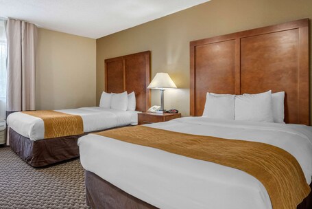 Comfort Inn South - Image 4