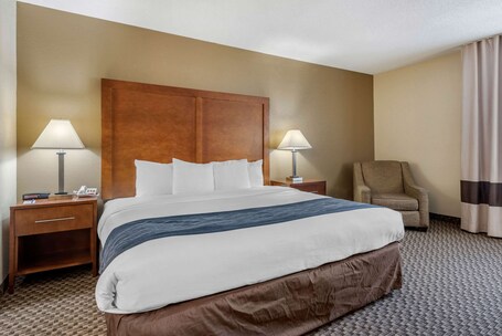 Comfort Inn South - Image 29