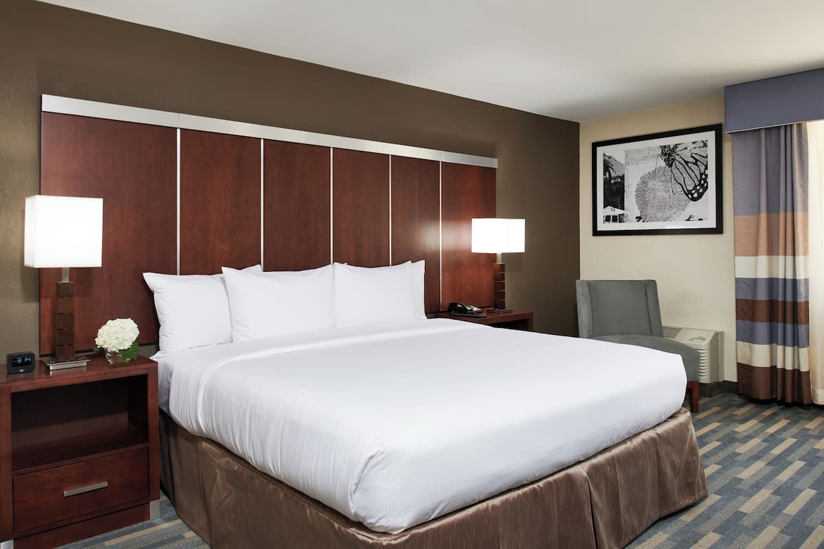 Une chambre d’hôtel avec un grand lit, deux tables de chevet avec des lampes, une chaise, un tableau encadré au mur et une fenêtre avec des rideaux.
