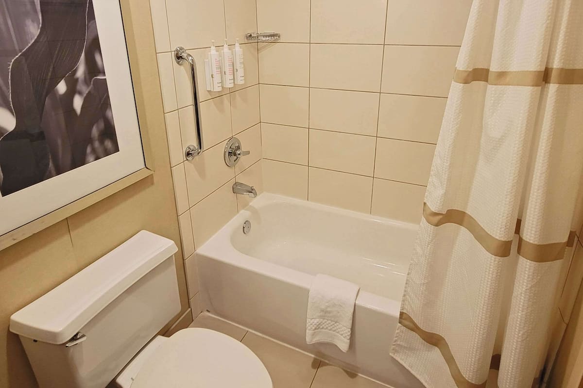 Premium bedding, desk, iron/ironing board, free WiFi