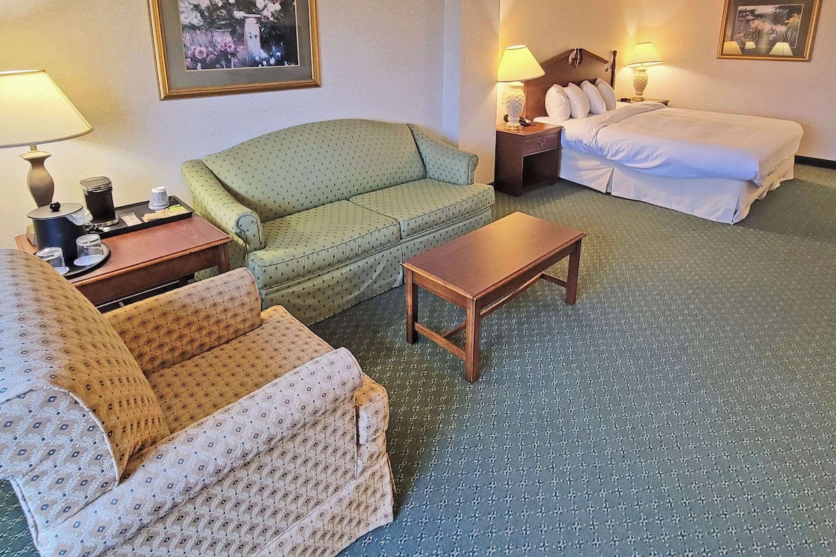 Room, 1 King Bed | Premium bedding, desk, iron/ironing board, free WiFi