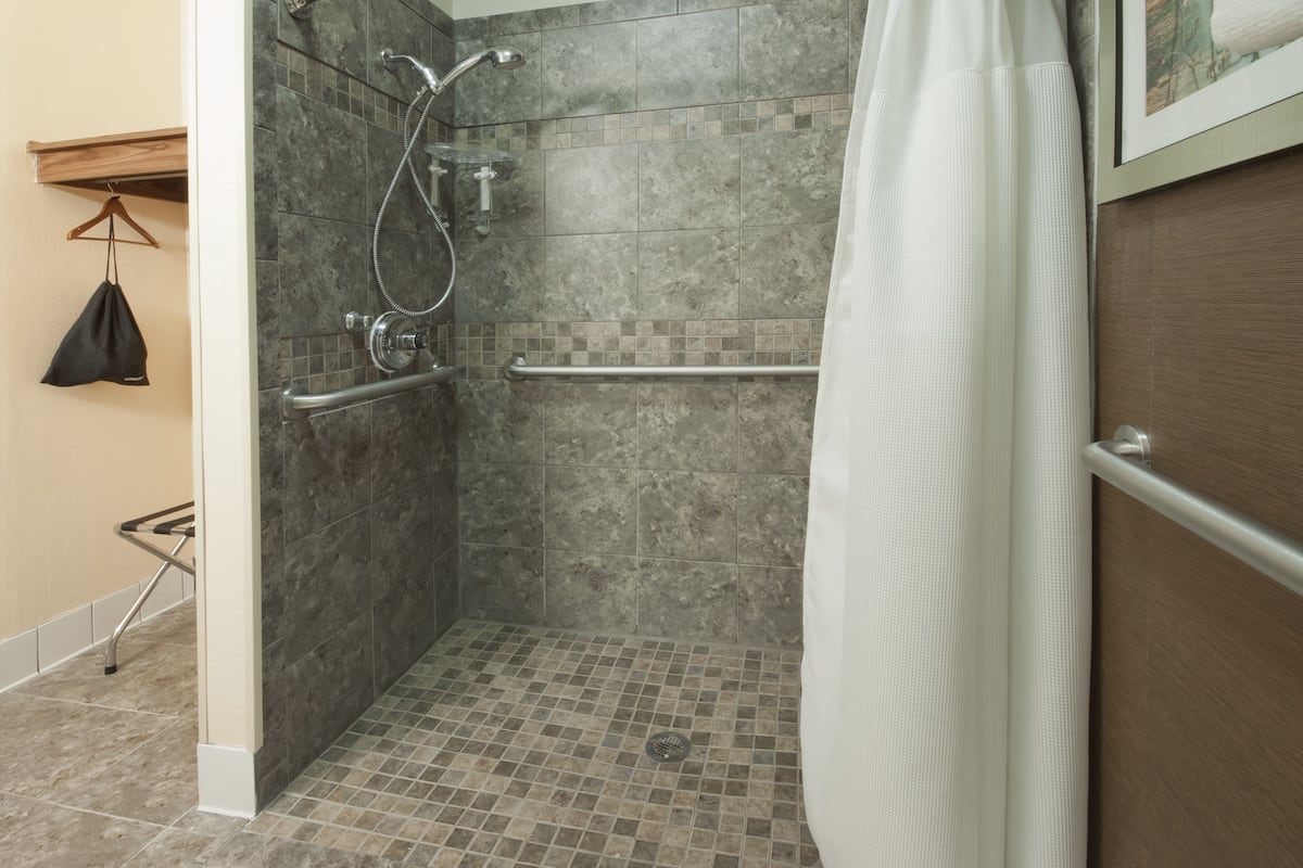 combined shower/bathtub, free toiletries, hair dryer, towels