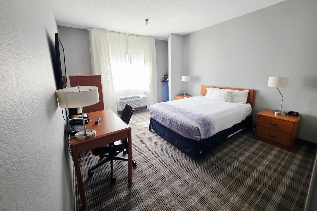 Room, 1 Queen Bed, Accessible, Non Smoking (Mobility, Roll-in Shower) | Premium bedding, in-room safe, individually furnished, desk