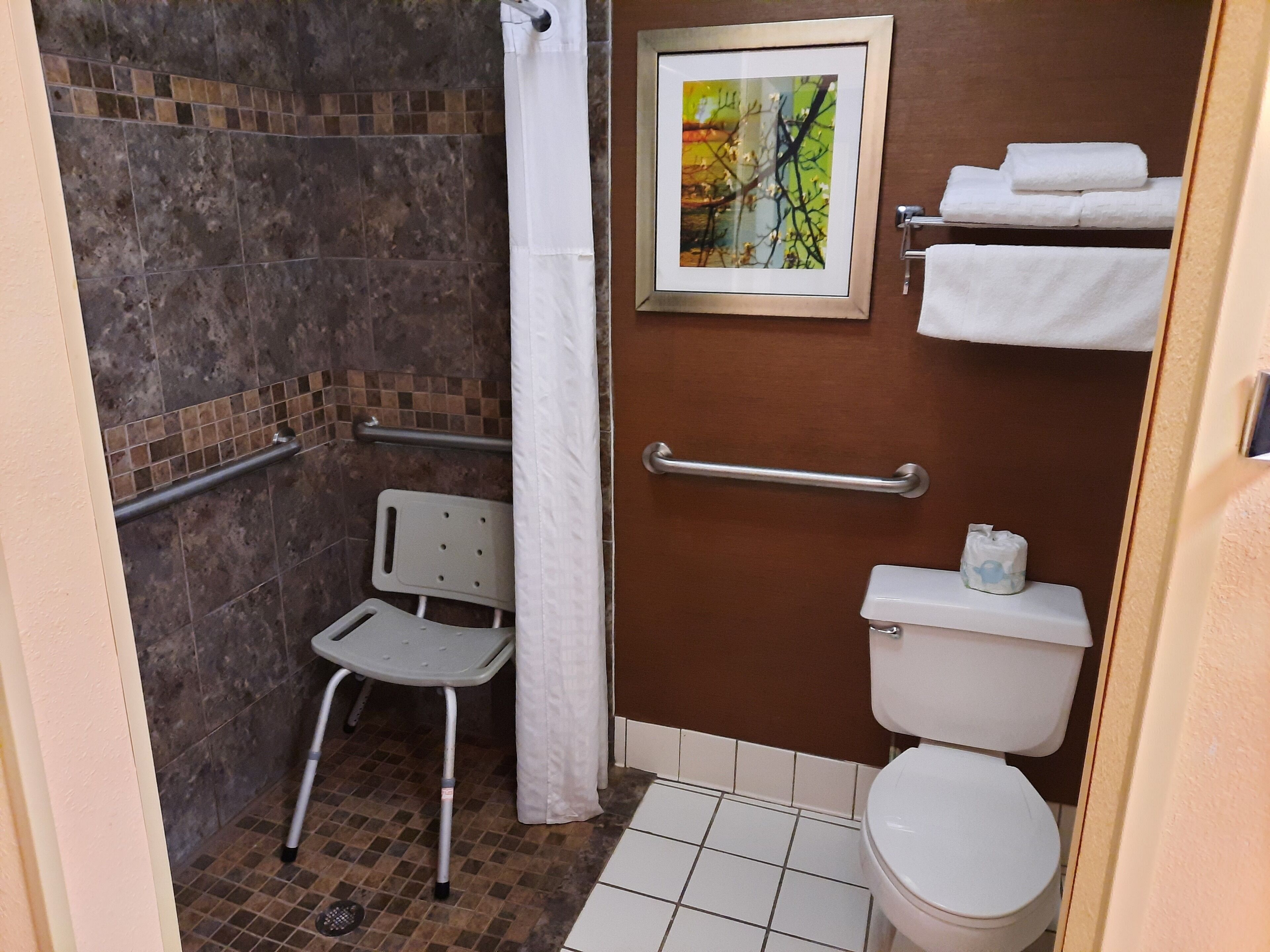 combined shower/bathtub, free toiletries, hair dryer, towels