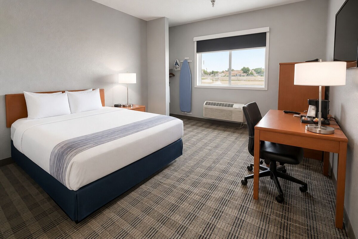 A hotel room with a bed, a desk, a chair, a lamp, a window, and a wall-mounted surfboard.