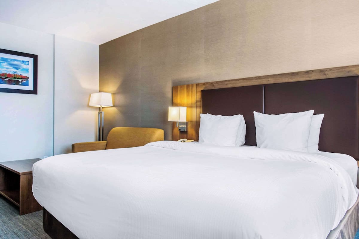 Chambre, 1 trĂšs grand lit, non-fumeur