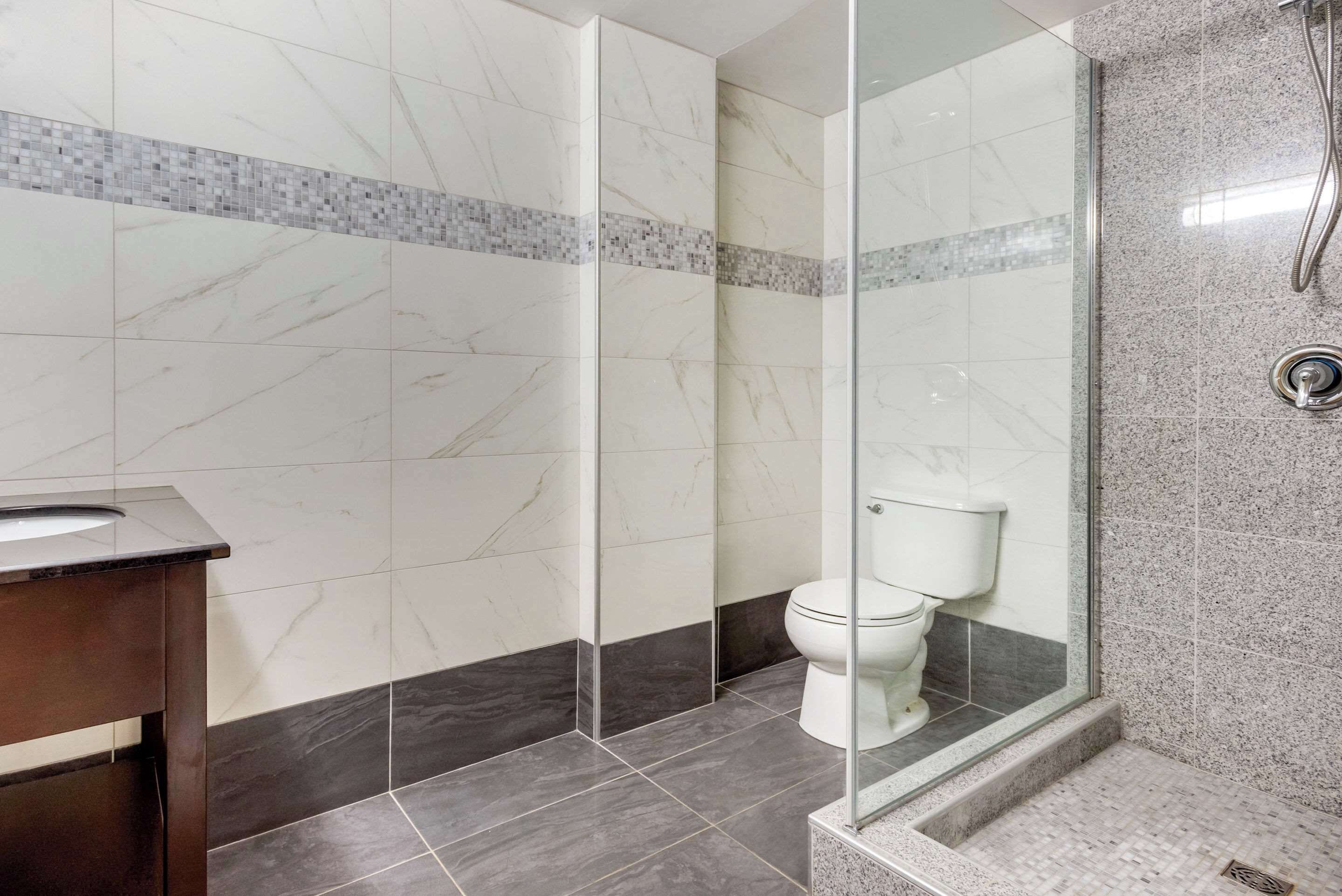 A bathroom with a glass shower enclosure, a toilet, and a sink with a dark countertop.
