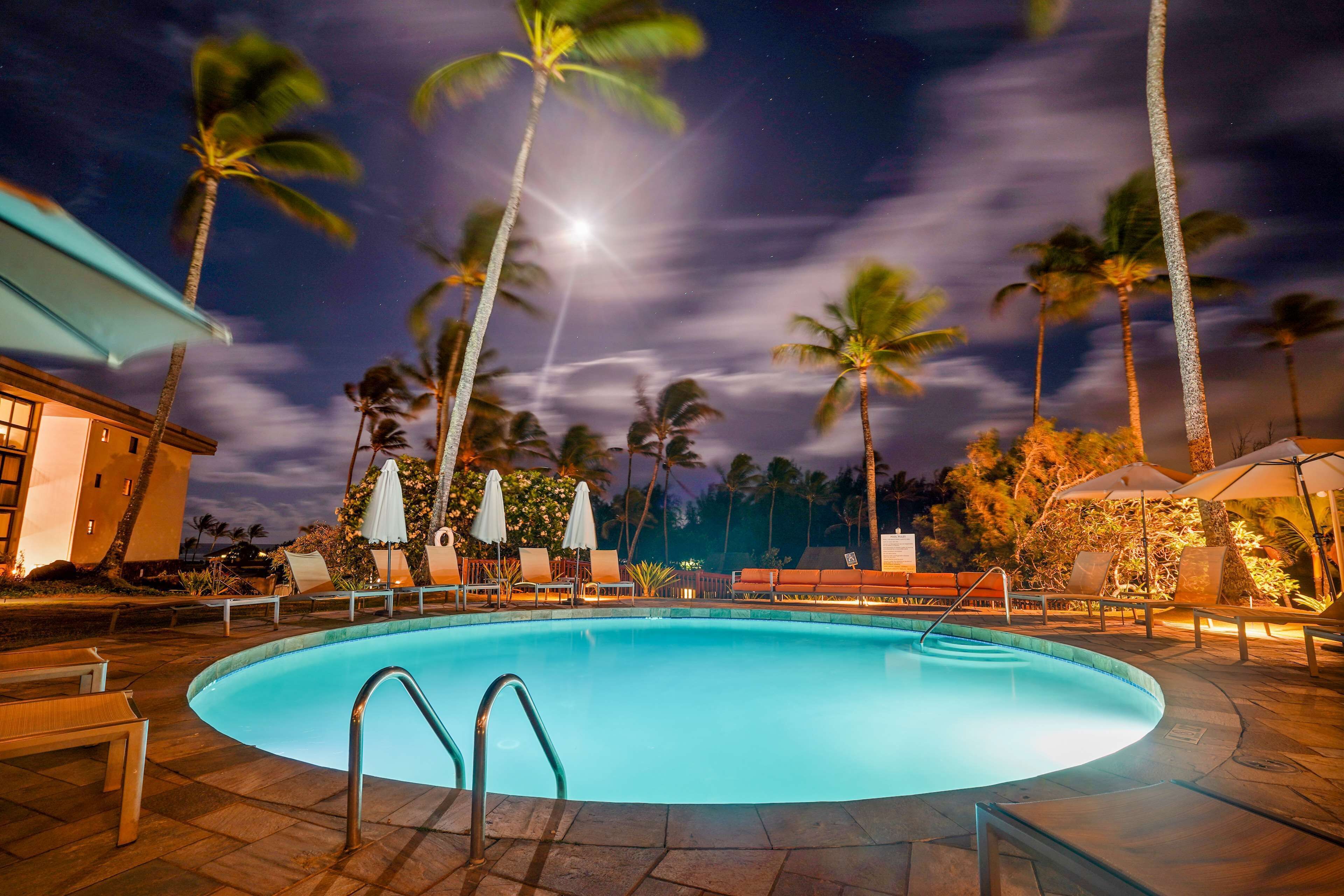 A swimming pool with lounge chairs and umbrellas, surrounded by palm trees and a building.
