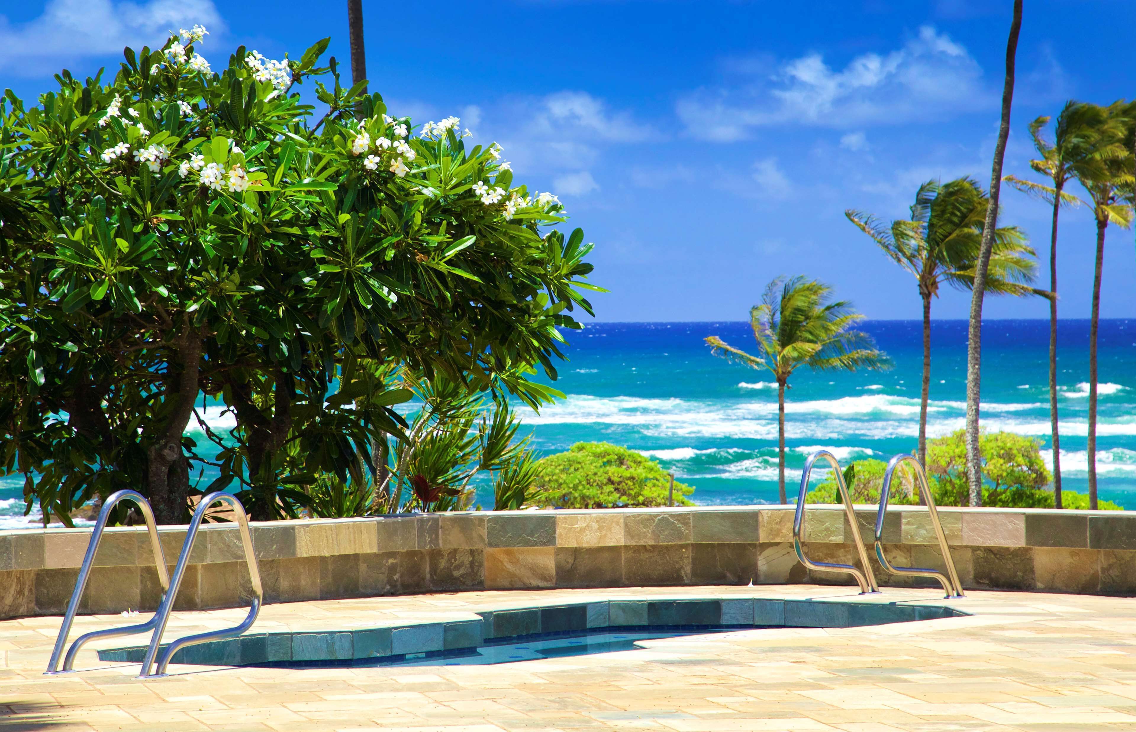 A pool area with a view of the ocean, surrounded by palm trees and a large bush.