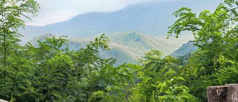 Vista de un paisaje montañoso con vegetación verde densa en primer plano y una cerca de madera.