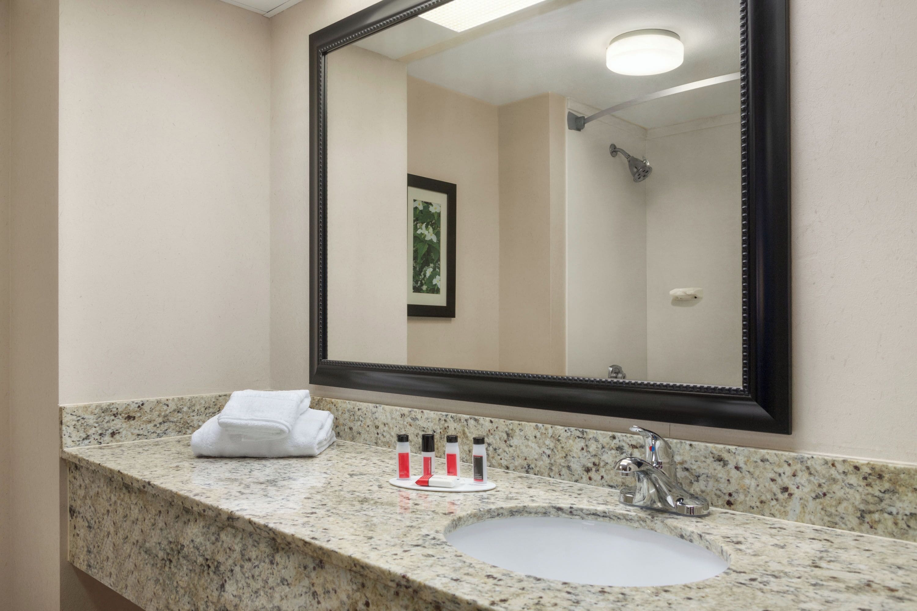 A bathroom with a granite countertop, a white sink, a mirror, and a framed picture on the wall.