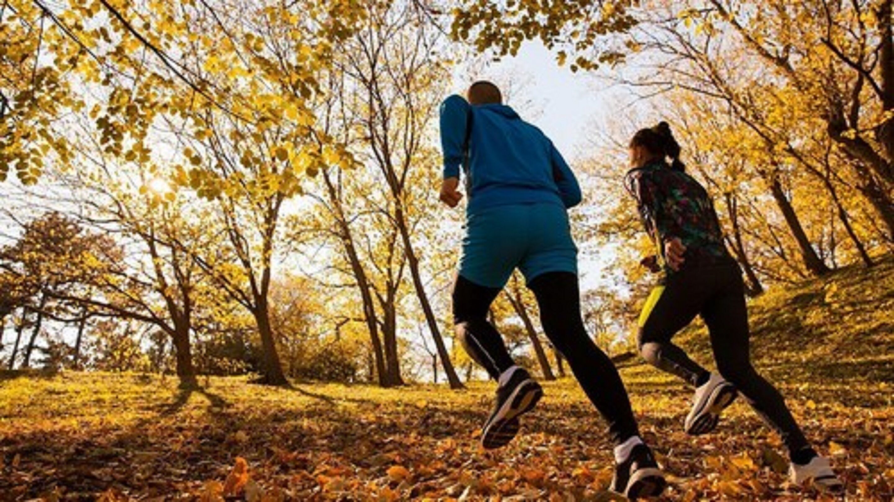 Two people jogging in a park with trees and fallen leaves.
