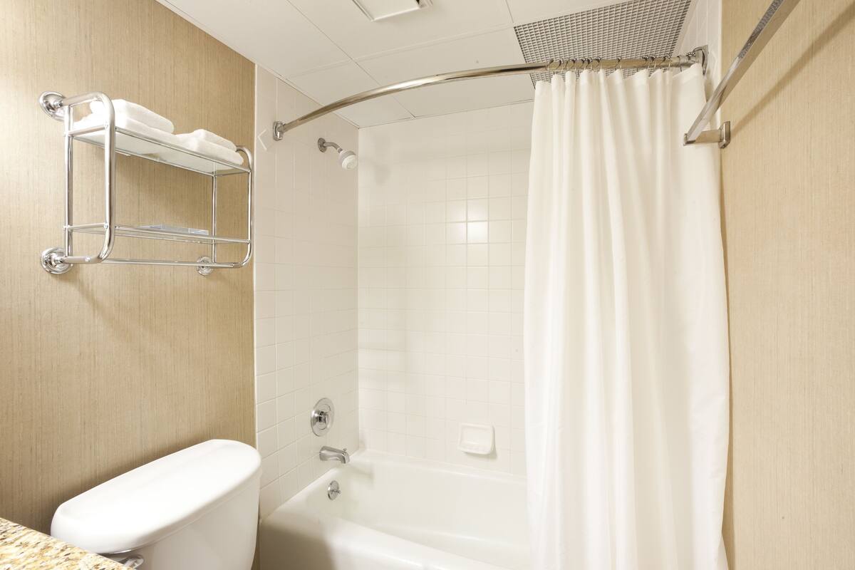 combined shower/bathtub, free toiletries, hair dryer, towels