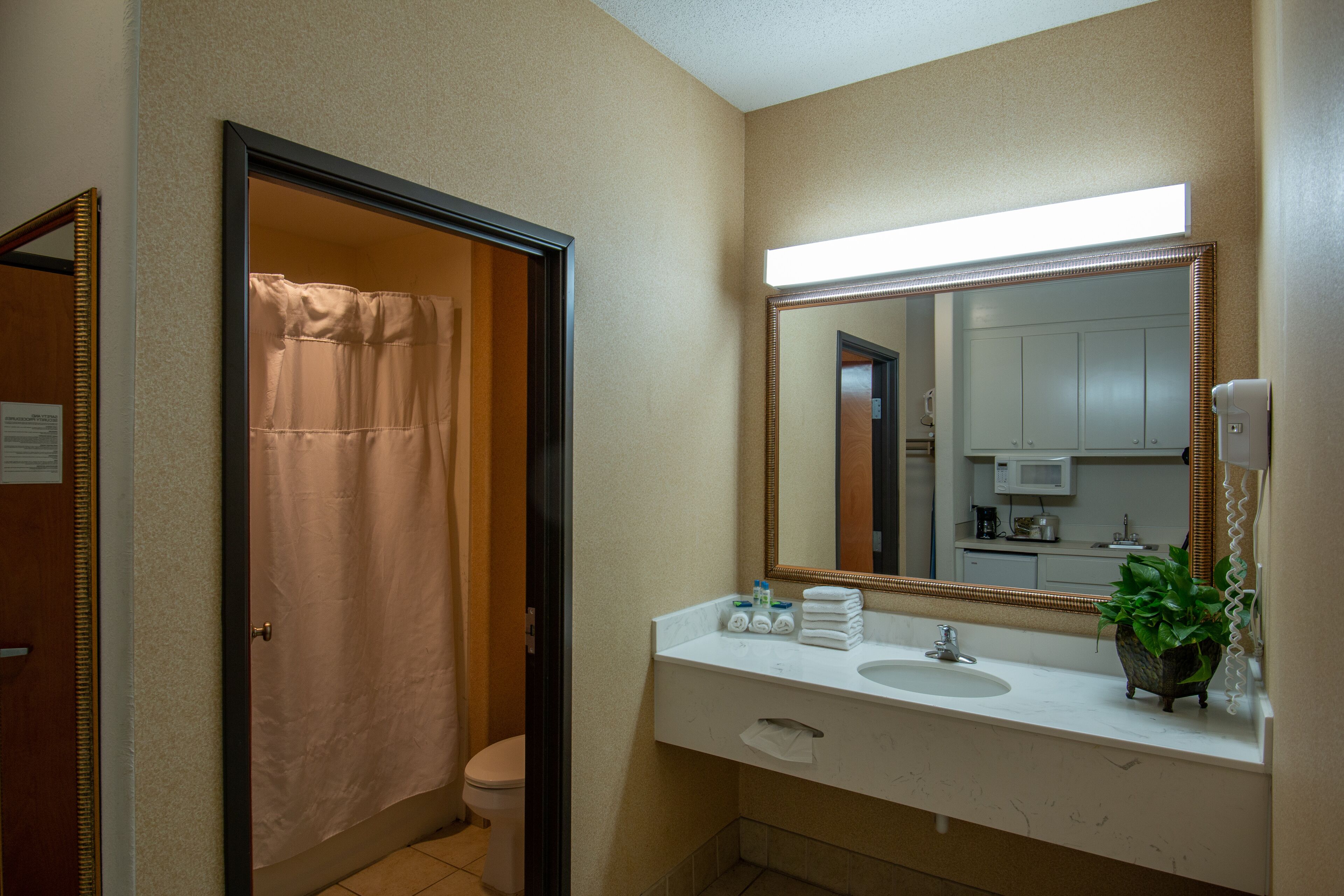 standard room, 1 king bed (king non-smoking) | bathroom | combined shower/bathtub, rainfall showerhead, free toiletries