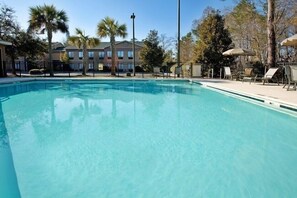 Outdoor pool, sun loungers