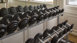 A gym with a row of dumbbells on a rack, large windows with a view of a cityscape and mountains, and a pendant light. - Mövenpick Hotel Geneva (Meyrin)