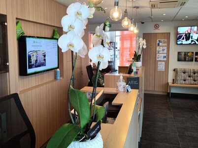 ibis Styles Rennes Centre Gare Nord