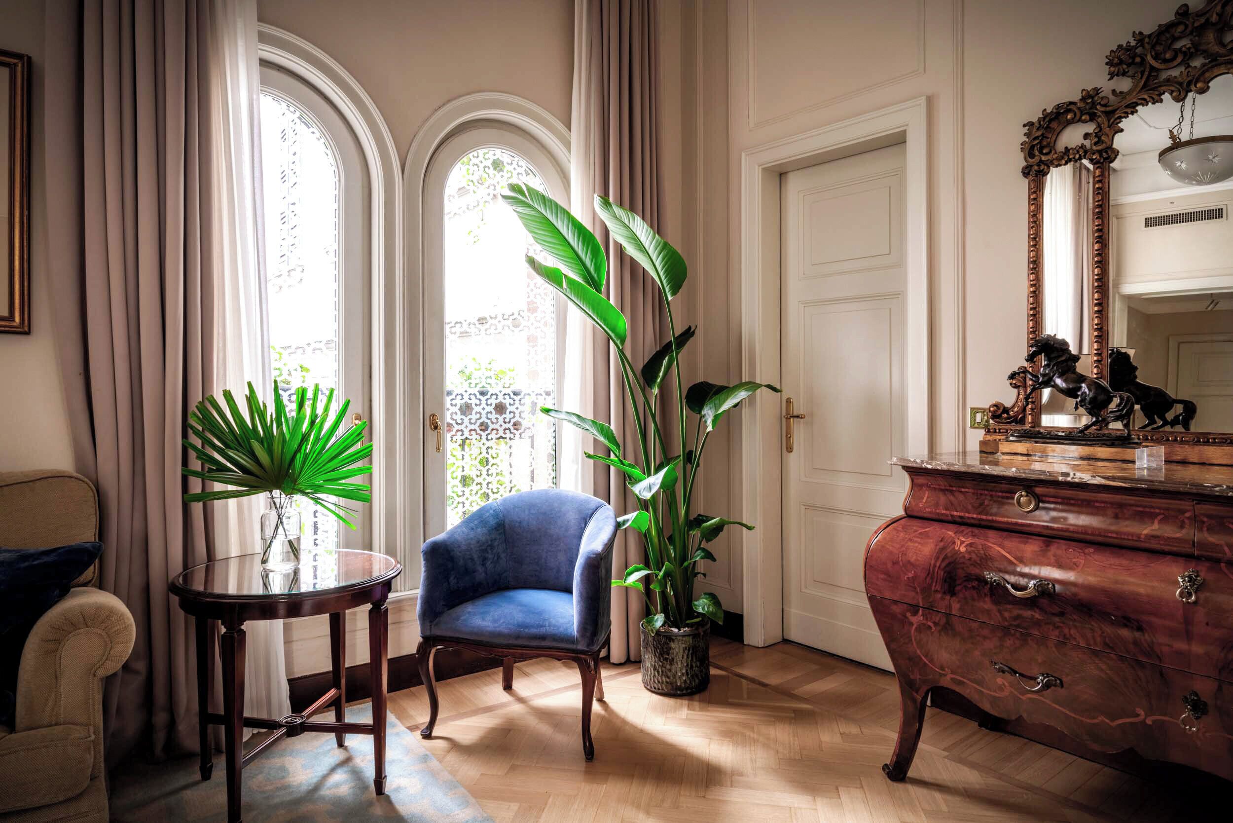 superior suite | 1 bedroom, premium bedding, down duvets, minibar