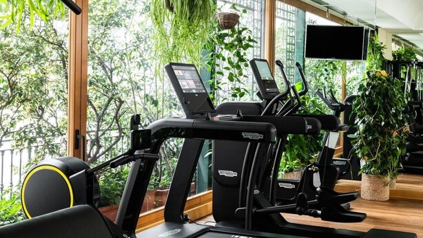 A gym with stationary bikes and treadmills, large windows, and indoor plants.
