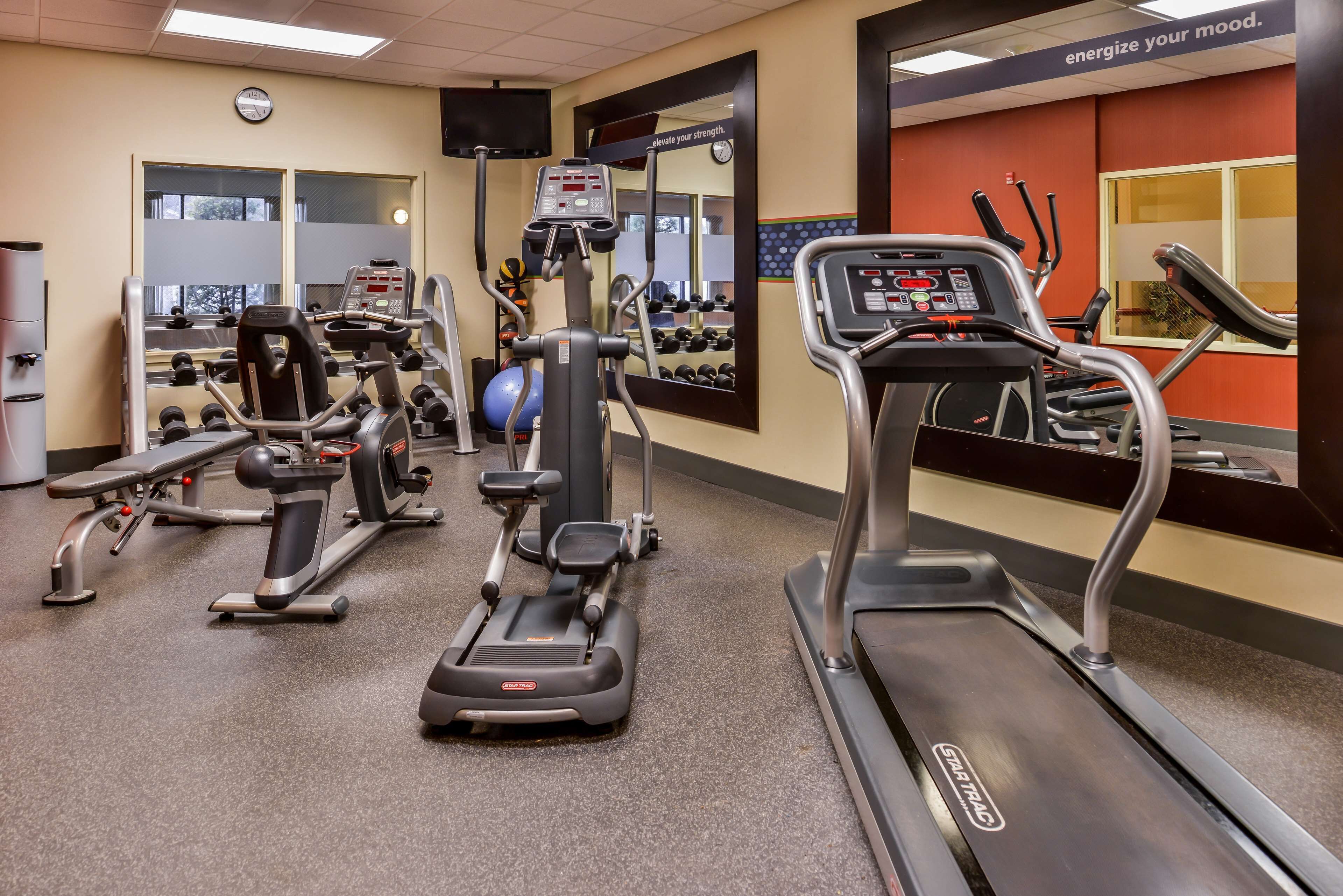 A gym with treadmills, elliptical machines, and free weights.