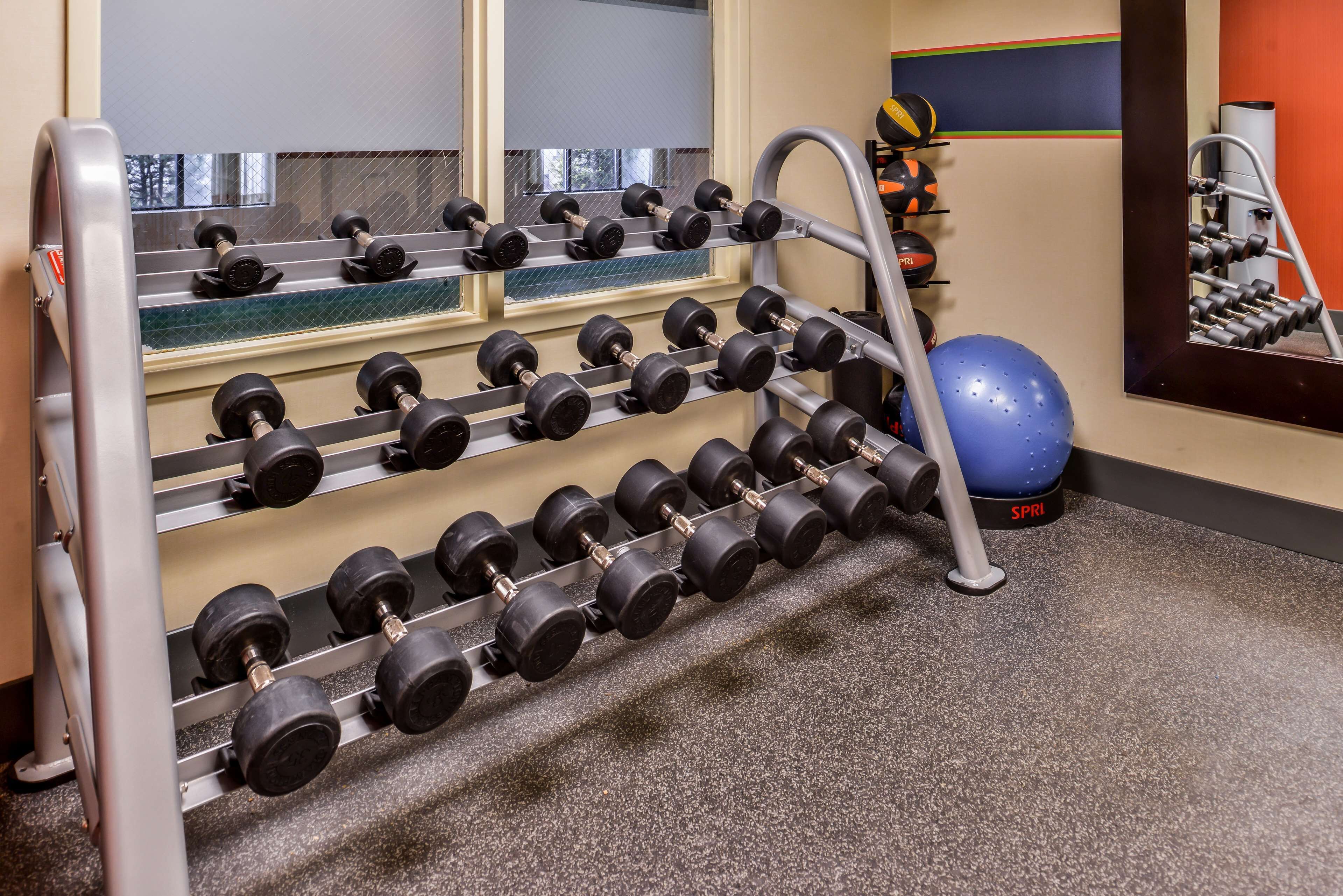 A gym with a rack of dumbbells, a blue exercise ball, and a mirror reflecting the room.
