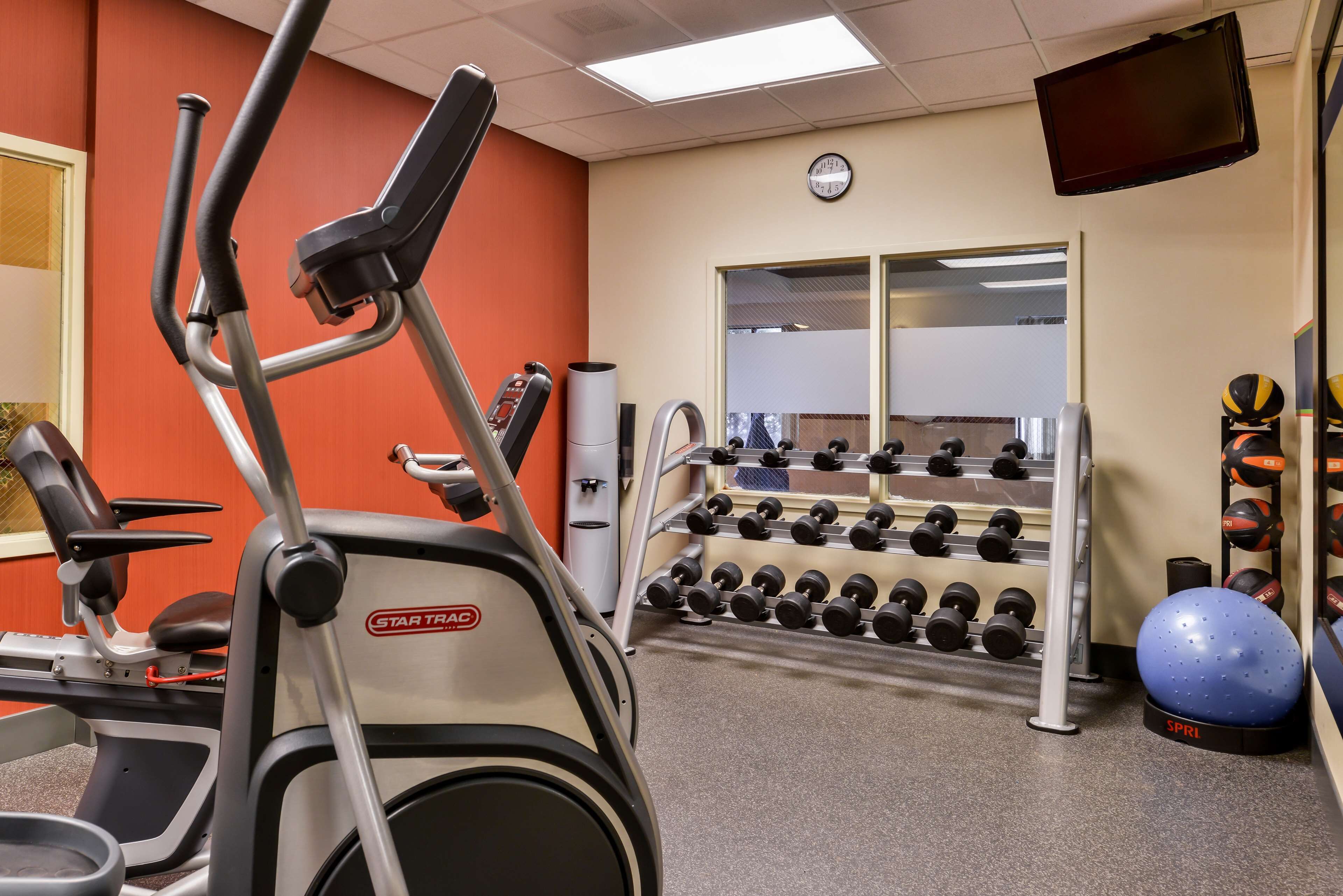 Een sportschool met trainingsapparatuur, een dumbbellsysteem en een blauwe fitnessbal.