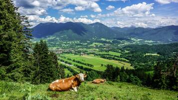 A mountainous landscape with a valley, a cow, and a cow lying down.