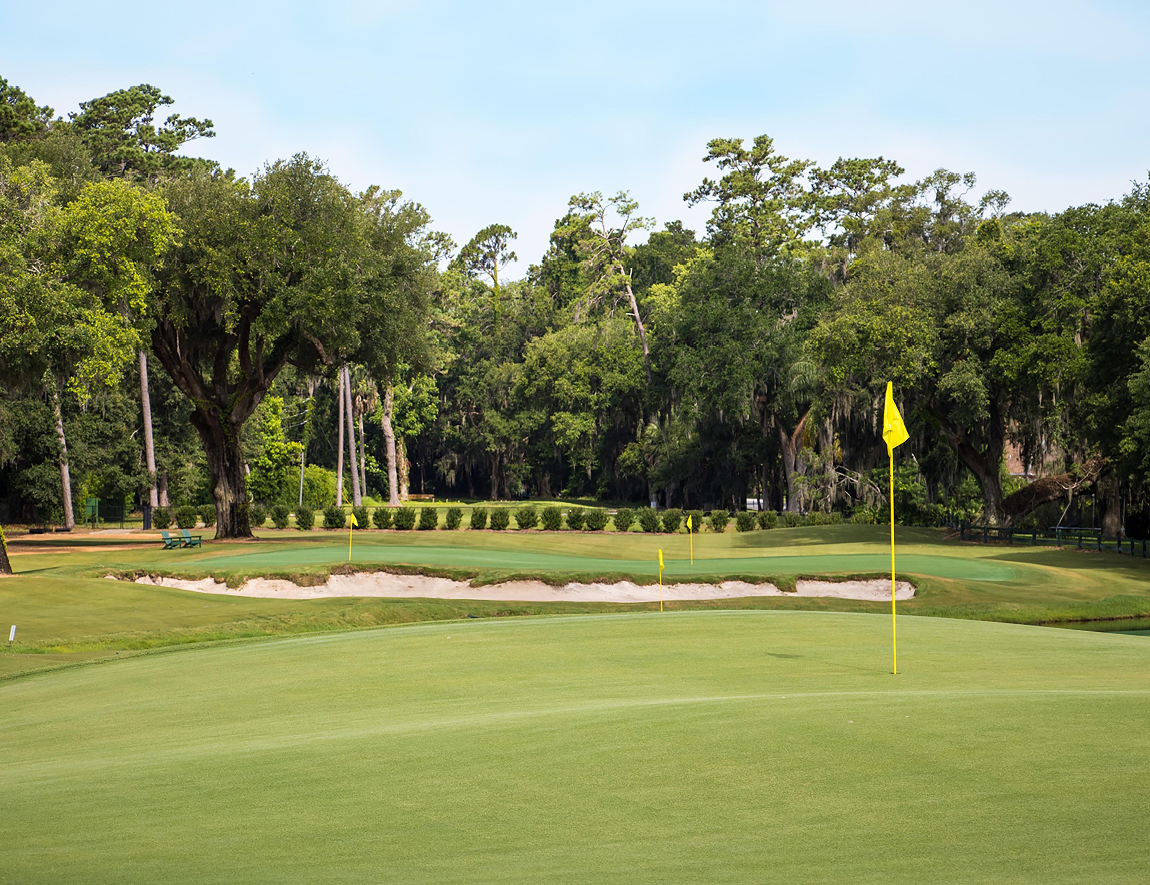 A golf course with a flagstick, sand bunkers, and dense trees in the background.