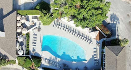 Sea Palms Resort St Simons Island