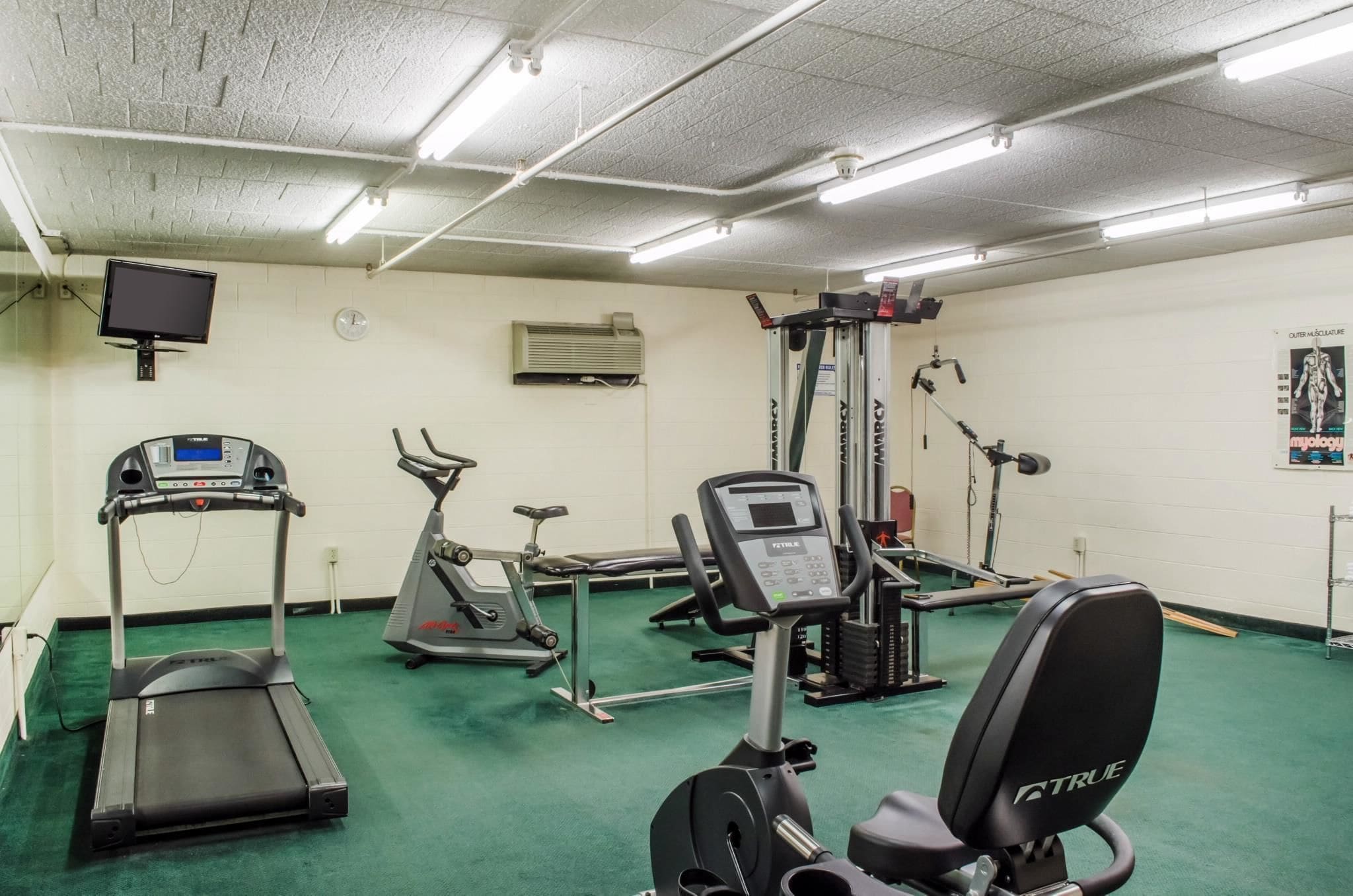 A gym with treadmills, an elliptical, and weight machines.