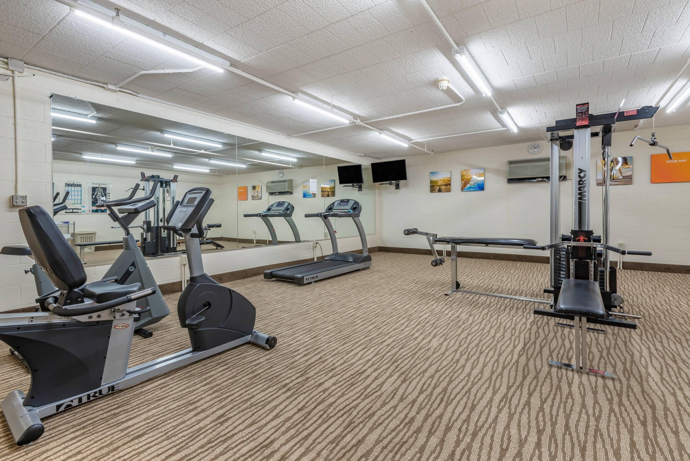 A gym with treadmills, elliptical machines, and weightlifting equipment.