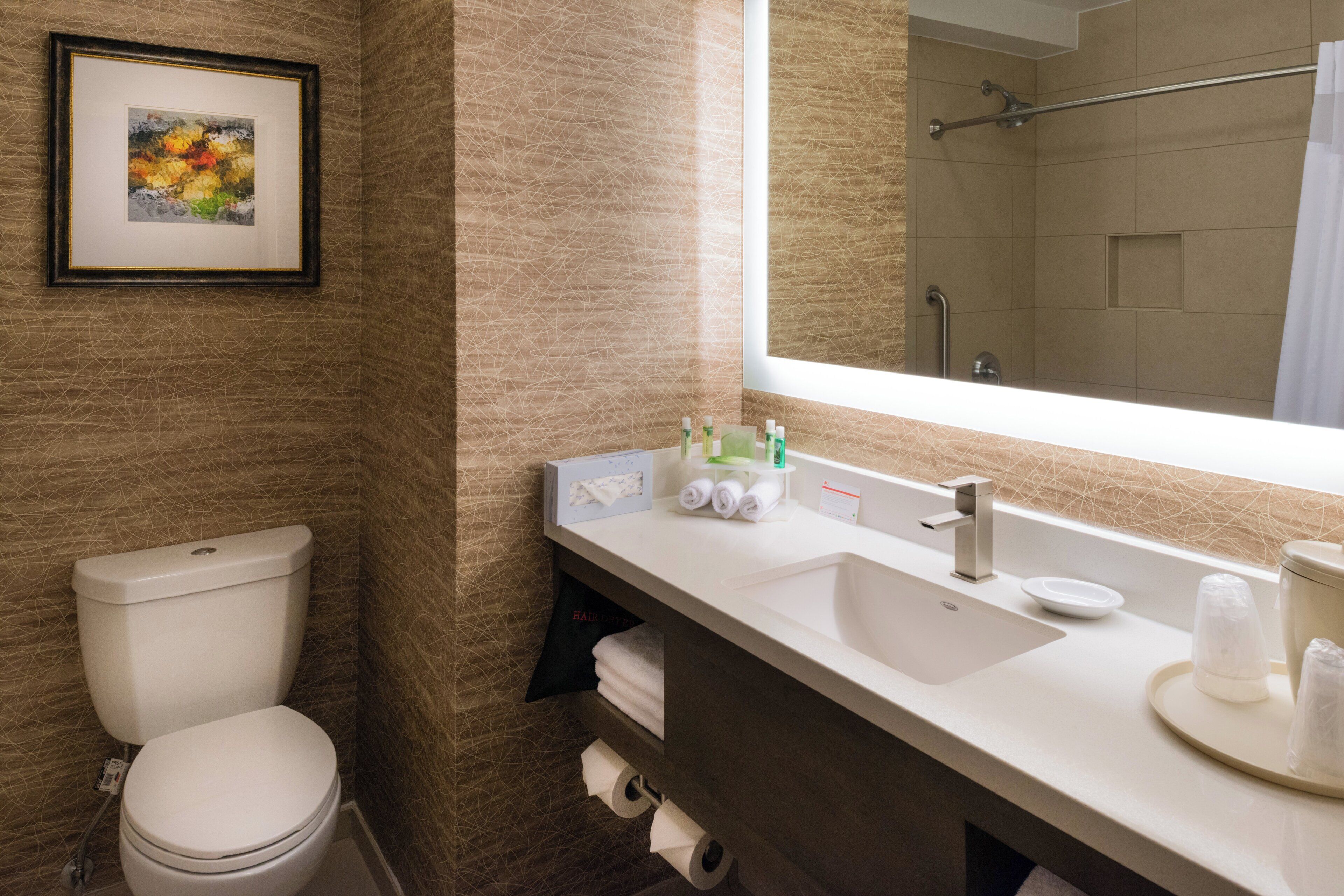 A bathroom with a toilet, sink, and a mirror reflecting a shower area.