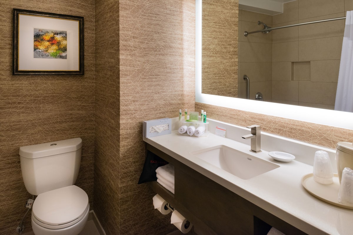 suite, 1 king bed | bathroom | hair dryer, towels, soap, shampoo