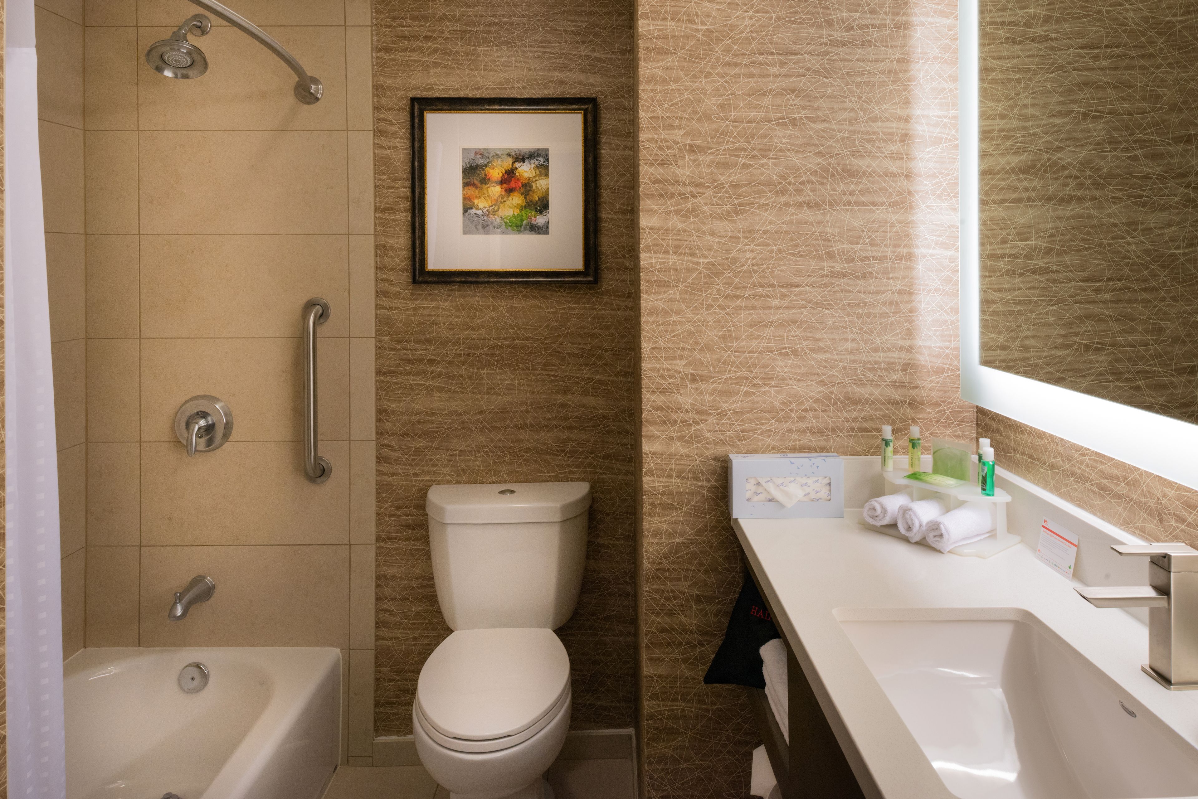 hair dryer, towels, soap, shampoo