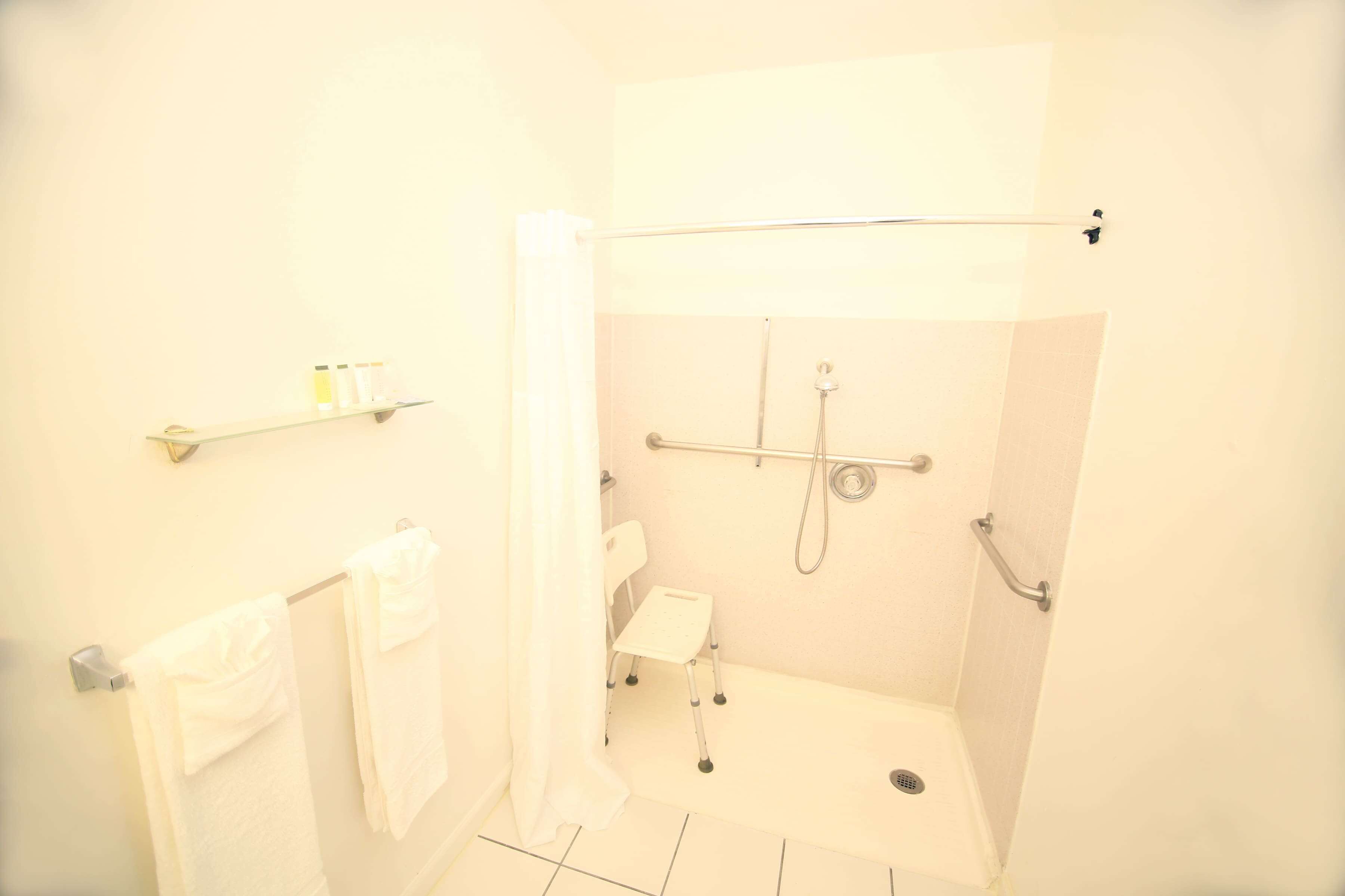 Room, 1 Queen Bed, Accessible, Non Smoking (Mobility, Roll-In Shower) | Bathroom