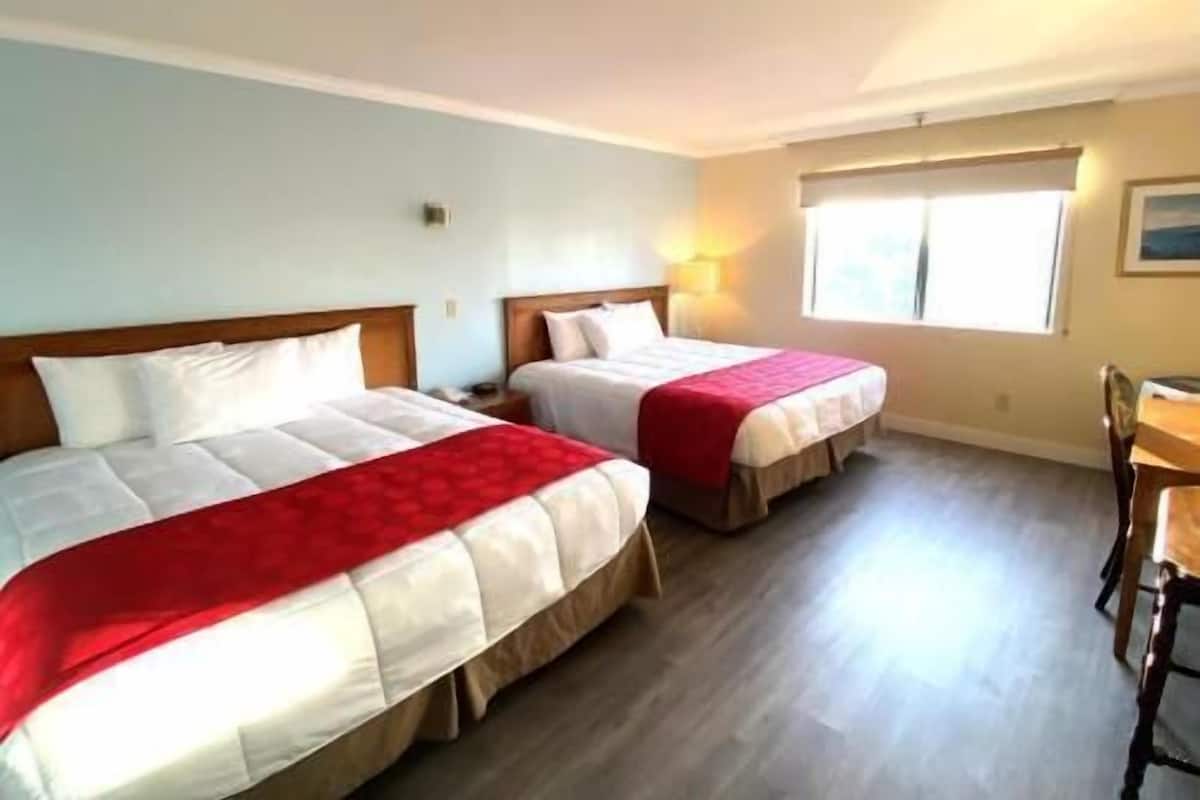 Une chambre d’hôtel avec deux lits, une tête de lit en bois, une table de chevet, un bureau et une fenêtre.