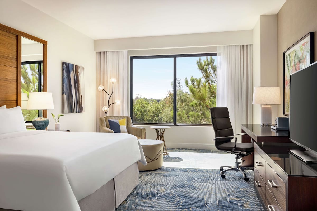 A hotel room with a large bed, a desk with a TV, a chair, a small table, and a window with a view of trees.