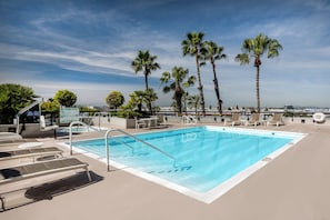 Une piscine sur le toit, avec des chaises longues et des palmiers.