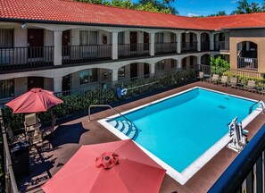 Outdoor pool, pool umbrellas, sun loungers