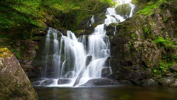 Una cascata che si getta su rocce in una zona boschiva.