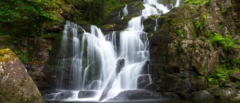 Una cascada que se precipita sobre rocas en un área boscosa.