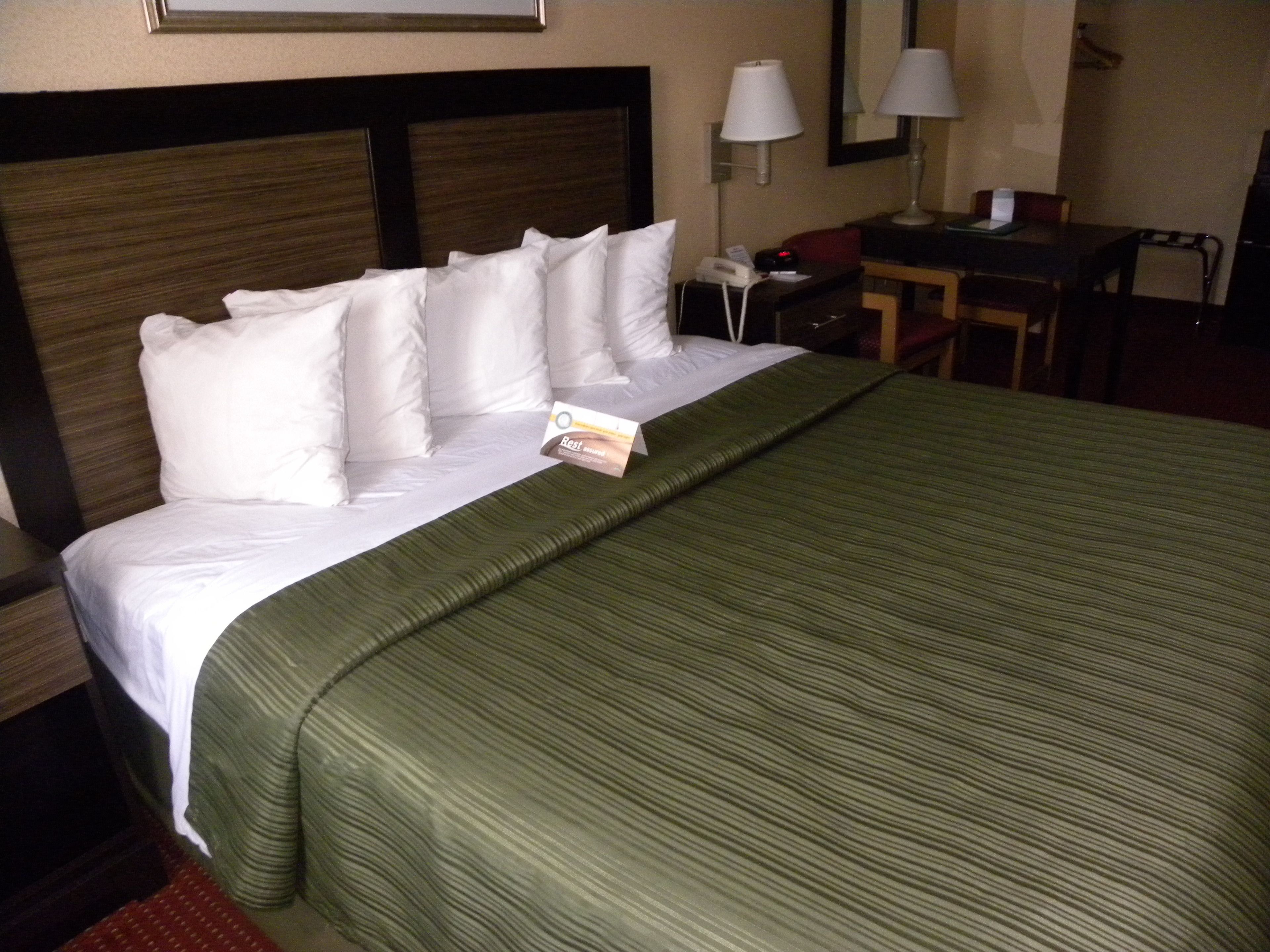 A hotel room with a neatly made bed, a bedside table with a lamp, and a chair.