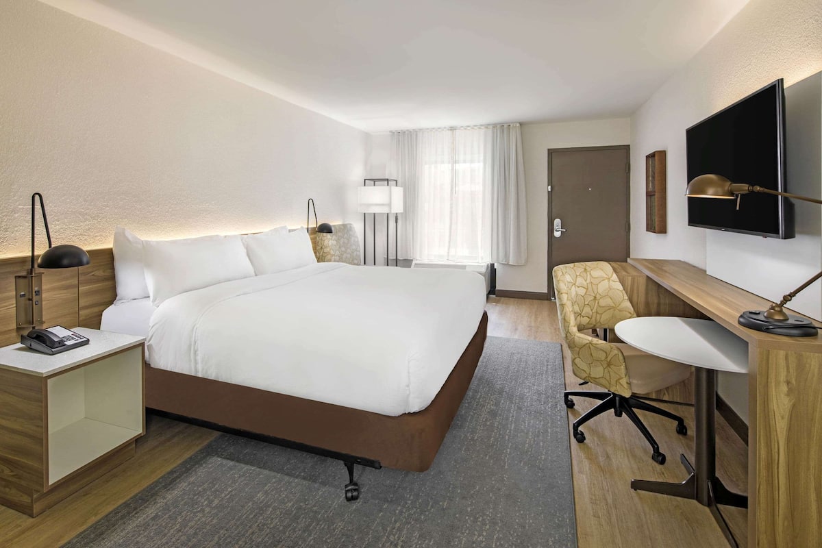 A hotel room with a large bed, bedside table with a phone, a desk with a chair, a TV mounted on the wall, and a door.