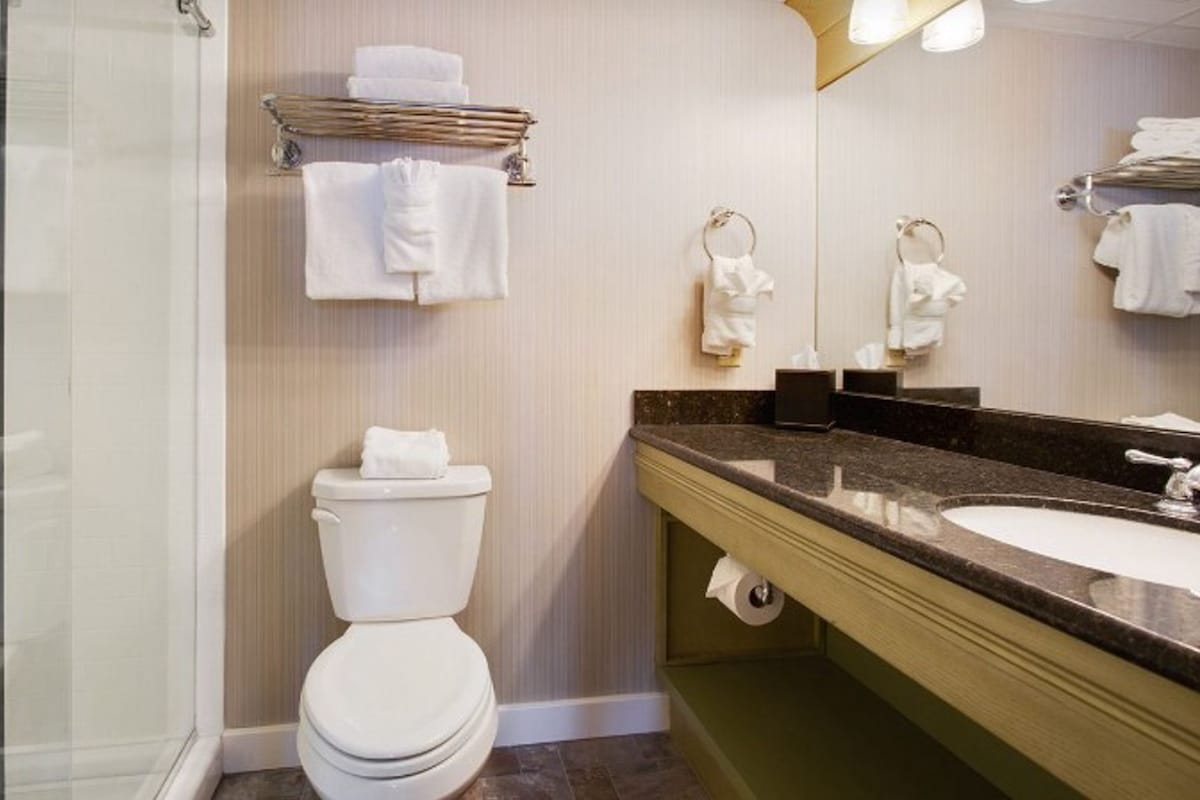 A bathroom with a toilet, sink, and shower. There are towels and a toilet paper holder on the wall.