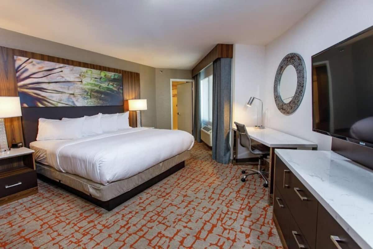 Una habitación de hotel con una cama grande, un escritorio, un televisor y la puerta del baño.